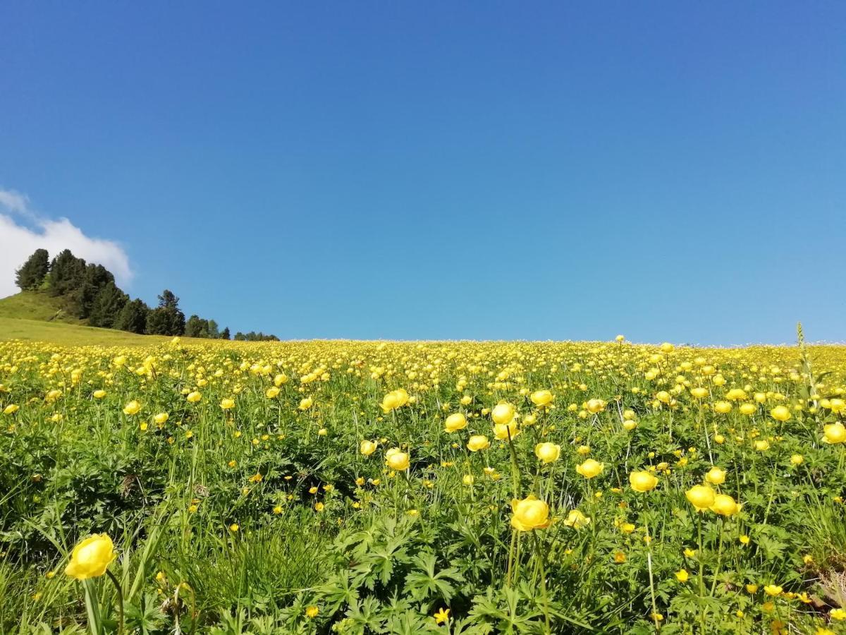Dolomites - Suites, And Frühstückspension