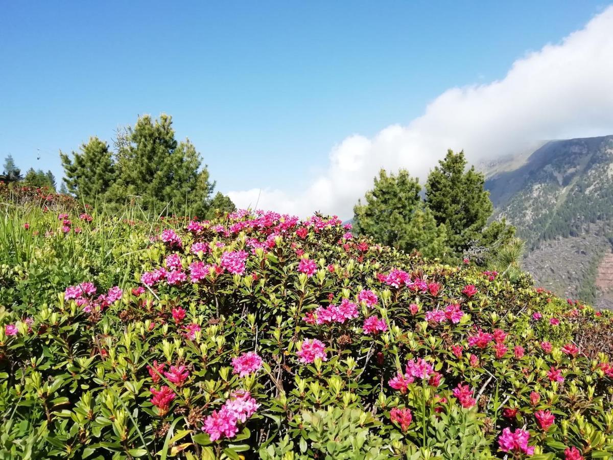 Dolomites - Suites, And Frühstückspension