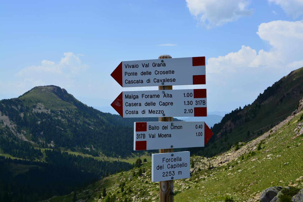 Dolomites - Suites, And